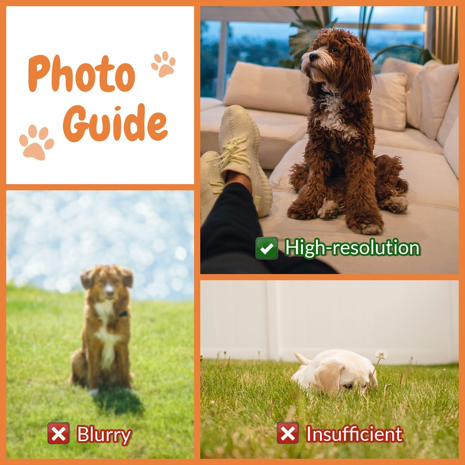 Customised Photo Pet Home Pill - Home Textiles Images review and price