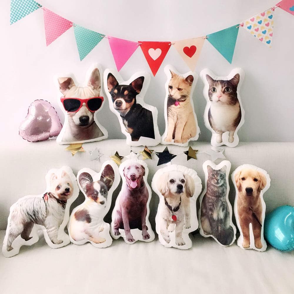 Customised Photo Pet Home Pill - Home Textiles Images review and price